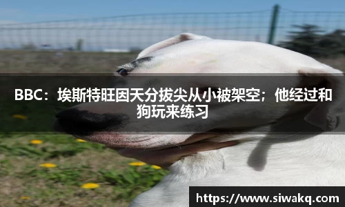 BBC：埃斯特旺因天分拔尖从小被架空；他经过和狗玩来练习